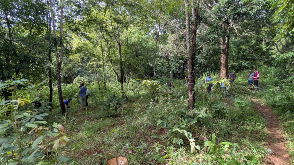 Planting session