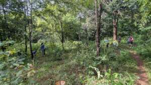 Planting session