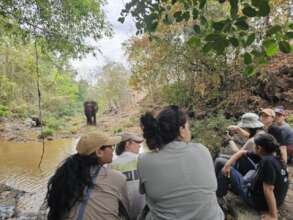SFS students watching eles
