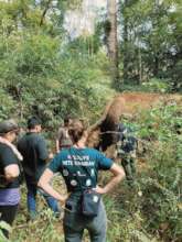 Wildlife vets assisting on Pearls case