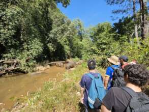 Ethical elephant tourism