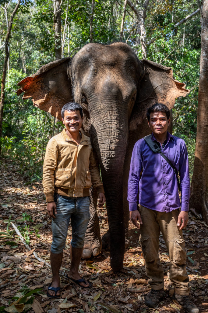Caring for Cambodia's elephants during Covid