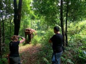 EVP Ecotourism & Eles