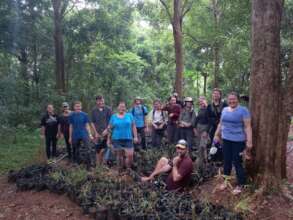 EVP Ecotourism - volunteers planting bamboo