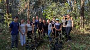 Bamboo propagating