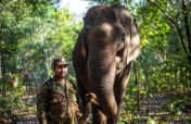 Caring for Cambodia's elephants during Covid