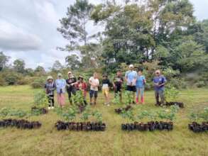 Tree Planting Day