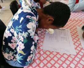 Learner doing the career profiler test with an aid