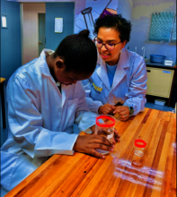 Visually impaired learner doing science experiment