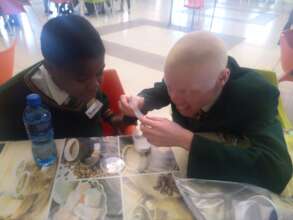 Working on their experiment