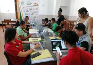 Applying for entry level positions online