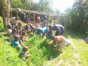 At work growing vegetables for the community