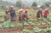 Help displaced Batwa buy farmland to fight poverty