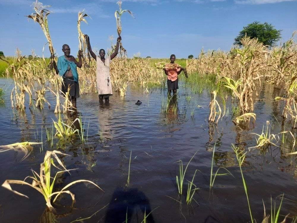 Food for flood affected communities in South Sudan