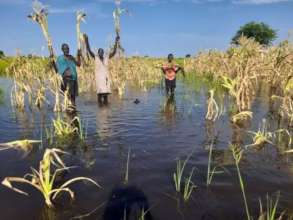 Farms destroyed by raging floods