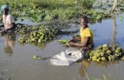 Food for flood affected communities in South Sudan