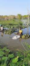Food for flood affected communities in South Sudan