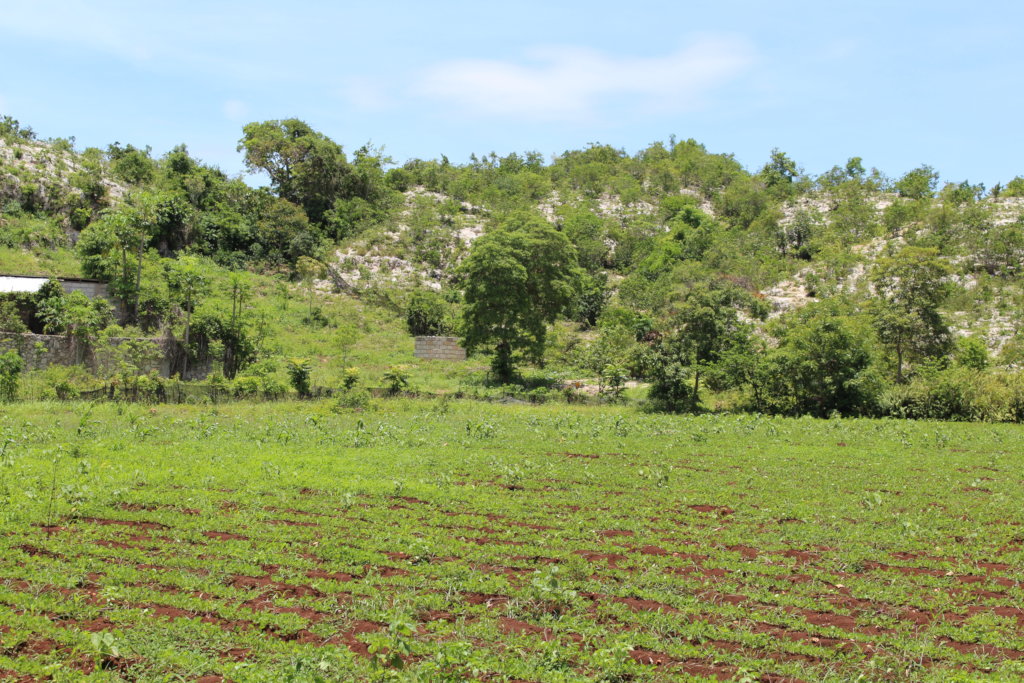 Land for Leadership & Development Center in Haiti