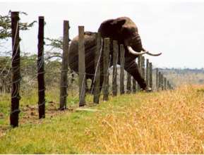 Damaging fences