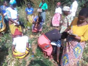 explaining  which trees can assist in health