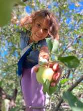 An apple a day