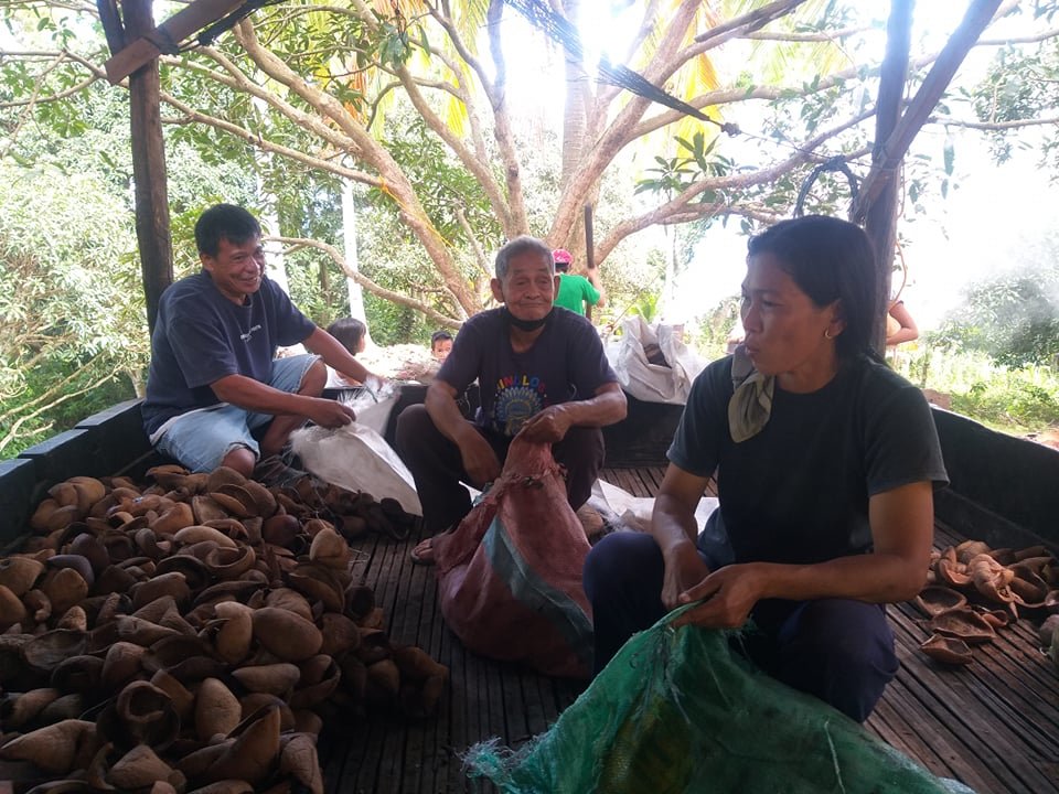 Support 1000 Philippine Coconut Farmers