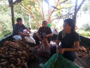 Coconut Family Farmers