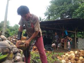 De-husking  coconuts