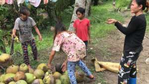 Coconut farming family