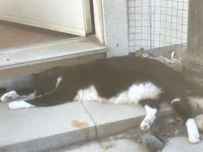 Jill enjoying cool pavers