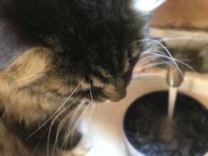 Nicki reminds everyone to stay hydrated.