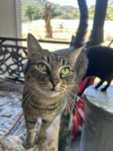 Target is ready to greet sunshine every day