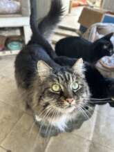 Nicki always has a sunny smile for the camera.