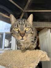 Pepe is on the lookout for sunshine.