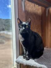 Kennedy has found the perfect sunny spot