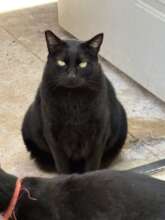 A rare appearance from Phantom.