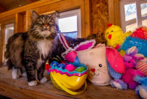 Nicki is proud of "his" Easter haul.