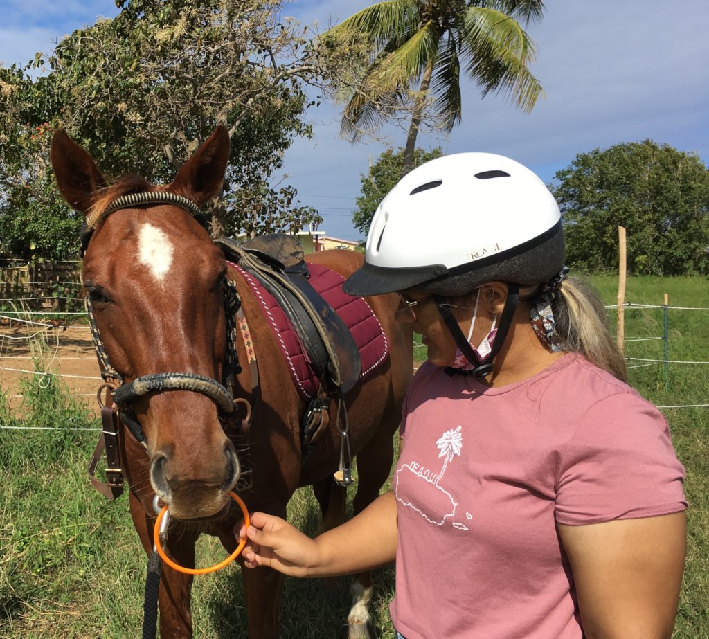 Support 5 Rescued Horses Who Help People in Need