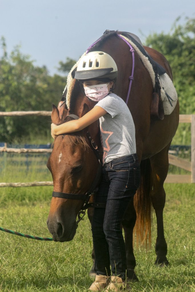 Support 5 Rescued Horses Who Help People in Need