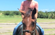 Support 5 Rescued Horses Who Help People in Need