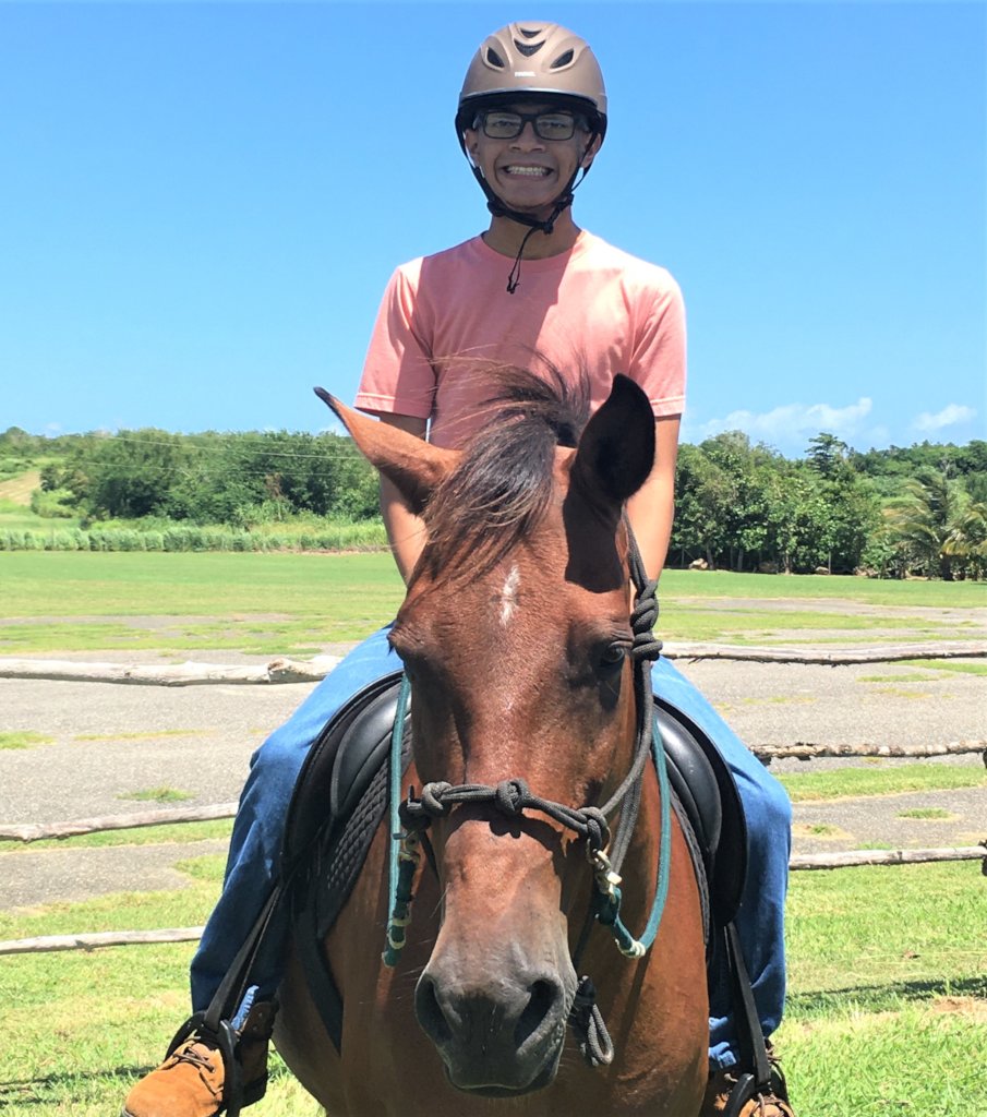 Support 5 Rescued Horses Who Help People in Need