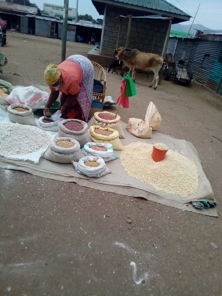 $1,000 for 10 women businesses in rural Kenya