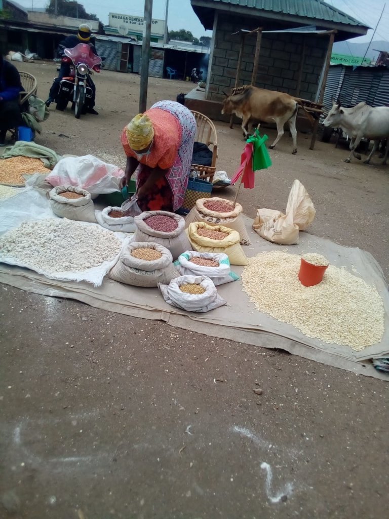 $1,000 for 10 women businesses in rural Kenya