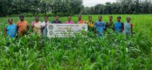 Susag Millet Sisters Team
