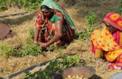Support young changemakers in India
