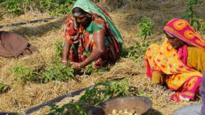Support young changemakers in India
