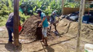 Peru- processing cow dung to use as organic input