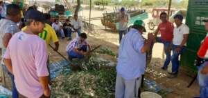 Peru- farmers training on mixing key ingredients