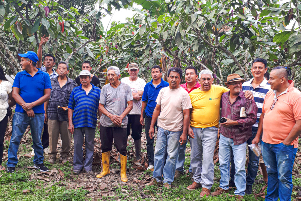 Organic banana composting in Peru & Ecuador