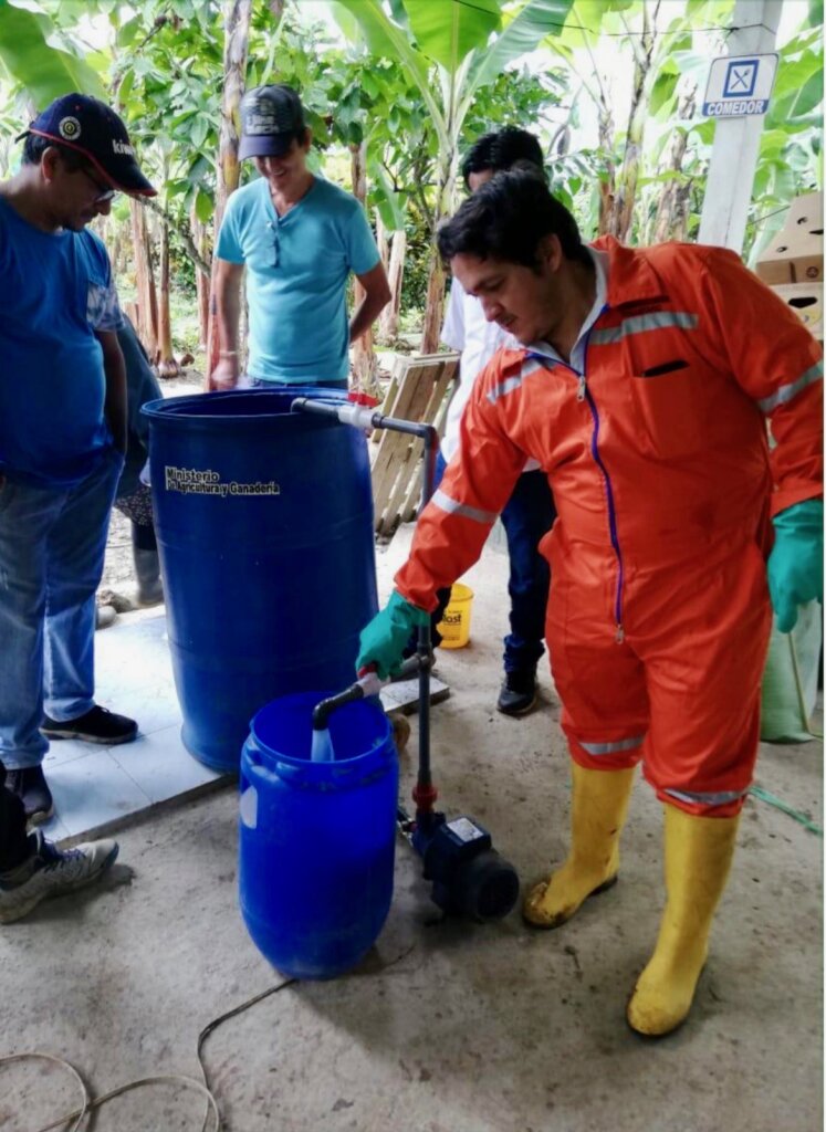 Organic banana composting in Peru & Ecuador